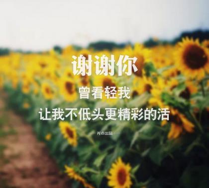 高级又沙雕的闺蜜文案