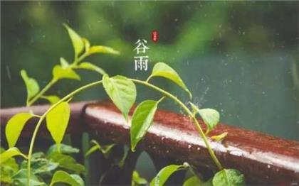 幼儿教师节感言词