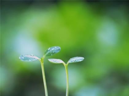 形容离别不舍却又无可奈何的句子 生活中太多无奈的句子