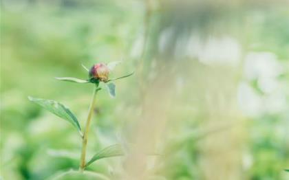 老师给学生的励志寄语