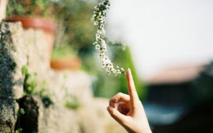 情人节鲜花图片祝福语 七夕情人节祝福语大全