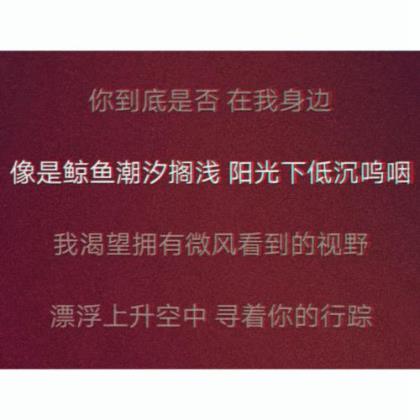 唯美句子摘抄爱情