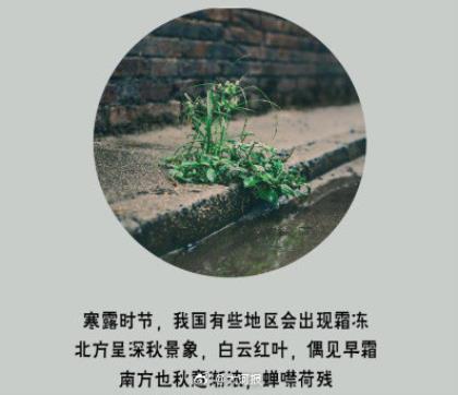 女性创业励志朋友圈经典句