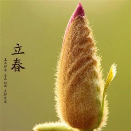 清明节问候语短信(清明节短信祝福语)