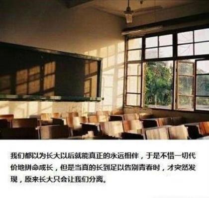 学校预防艾滋病宣传标语横幅