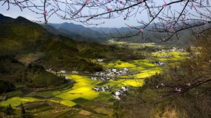 情人节短信宝典