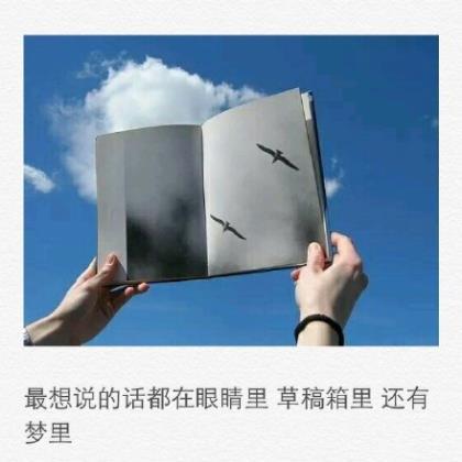 兄妹情深的句子名言