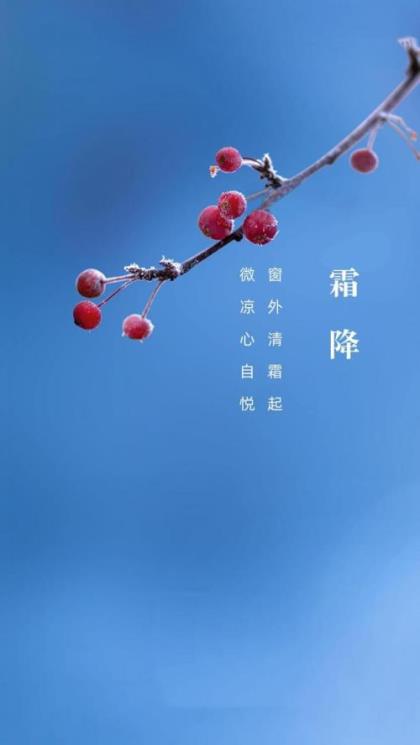 以一句话为题的作文200字